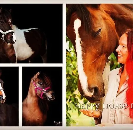 3 Zi Haustiere Willkommen Im Markgraeflerland Dreilaendereck Apartment