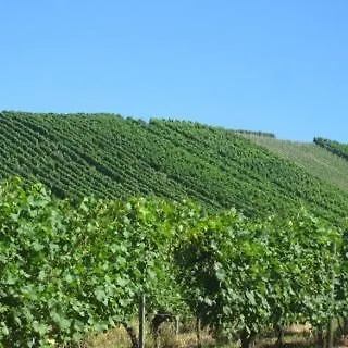 Lägenhet 3 Zi Haustiere Willkommen Im Markgraeflerland Dreilaendereck