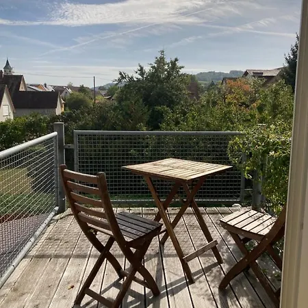 Apartment 3 Zi Haustiere Willkommen Im Markgraeflerland Dreilaendereck Schliengen