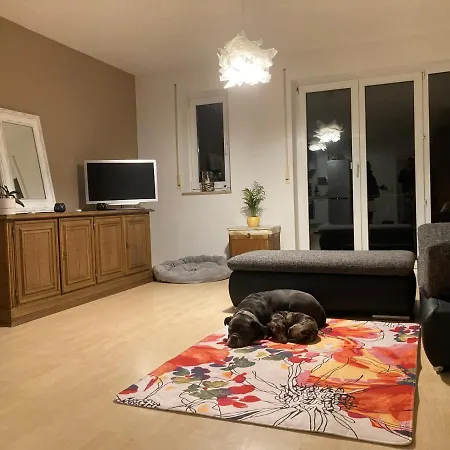 3 Zi Haustiere Willkommen Im Markgraeflerland Dreilaendereck Apartment