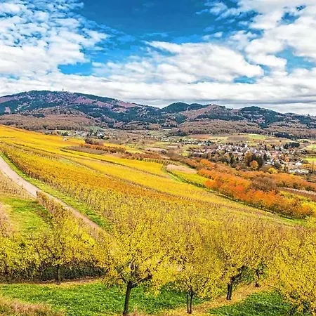 Apartment 3 Zi Haustiere Willkommen Im Markgraeflerland Dreilaendereck Schliengen